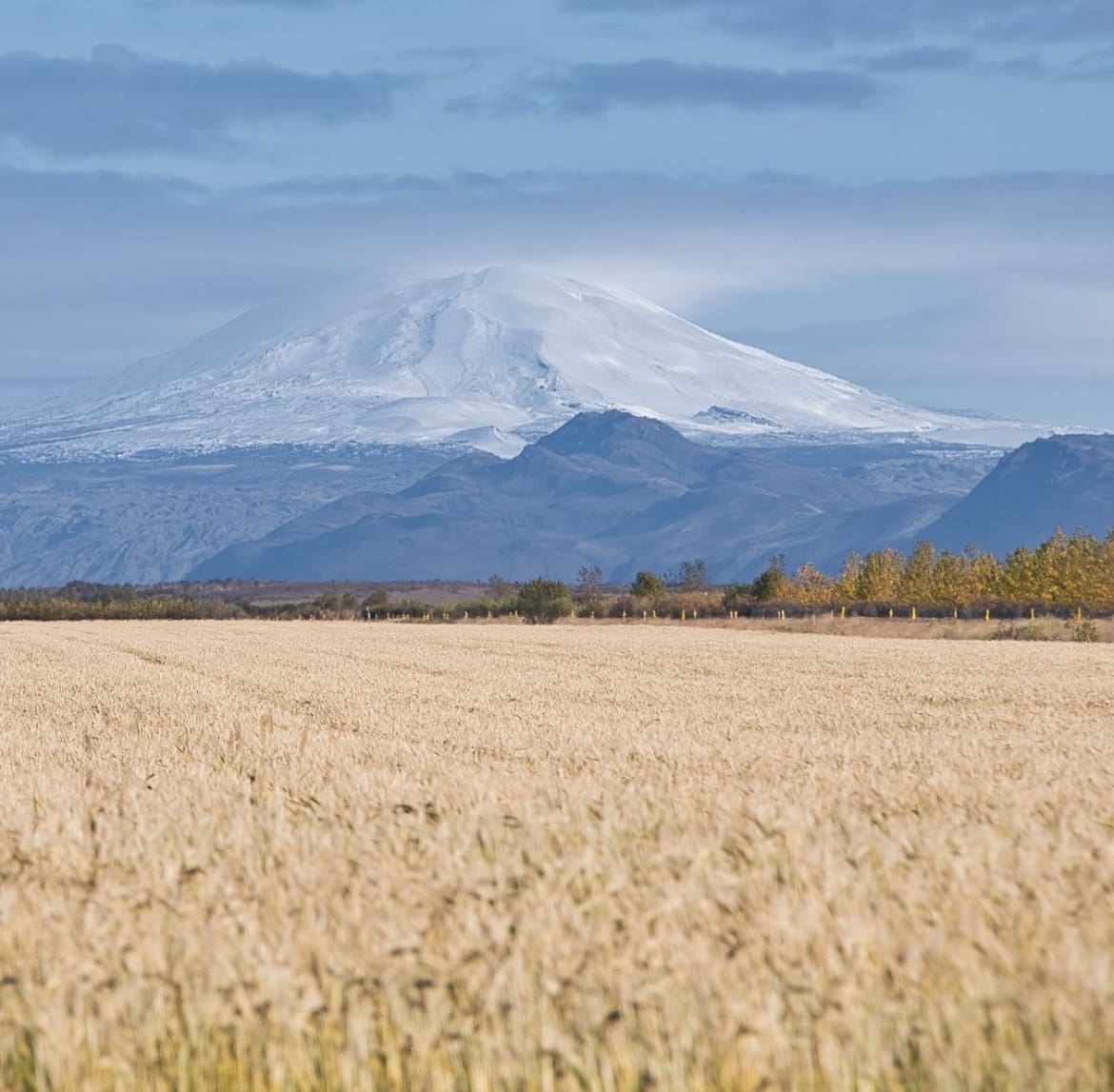 Hekla